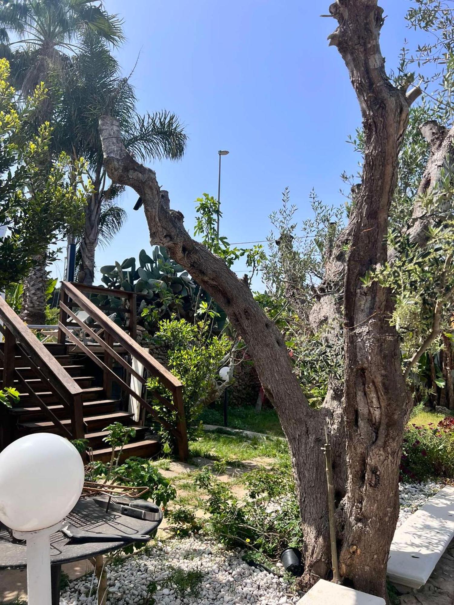 Villa Casa Vacanze Fiore Gallipoli Extérieur photo